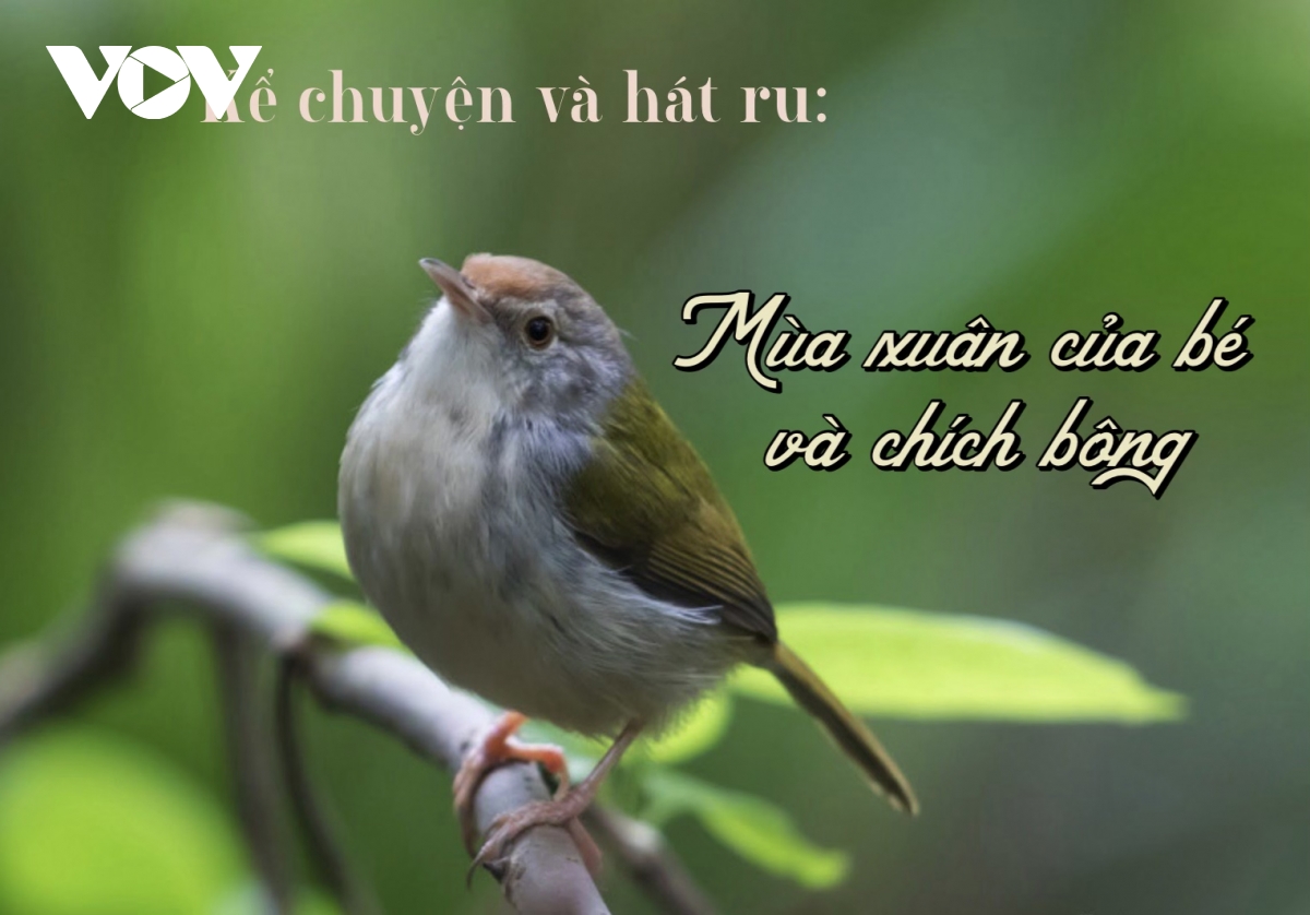 Mùa xuân của bé và chích bông